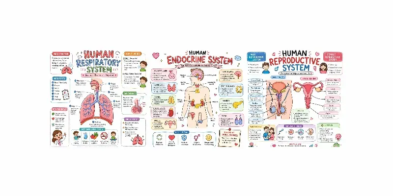 Cute Medical Infographic Poster Packs generated by undefined