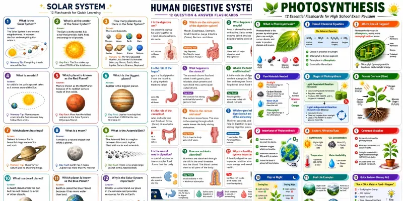 Educational Flashcard Sheet Generator generated by undefined