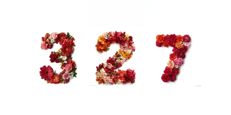 Floral Number Flat Lay Photography generated by undefined