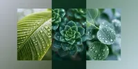 Dewy Botanical Macro Photography midjourney prompt mini thumbnail