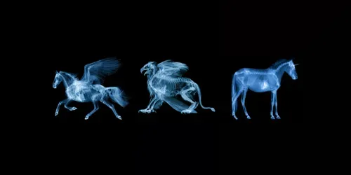 Fantastic Anatomy Xray Generator generated by midjourney