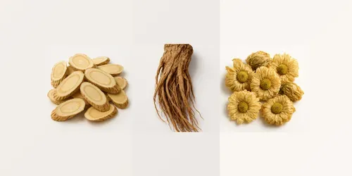 Herbal Medicine Ingredient Visualizers generated by chatgpt-image