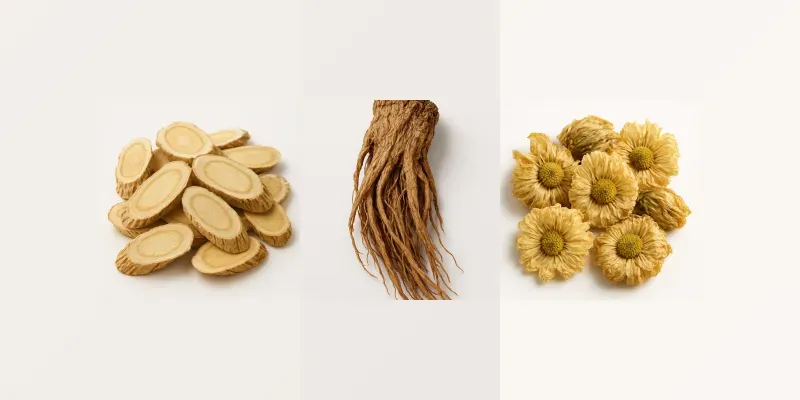 Herbal Medicine Ingredient Visualizers generated by undefined