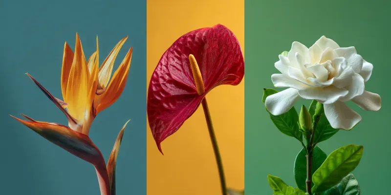 Ultrarealistic Exotic Flowers generated by undefined