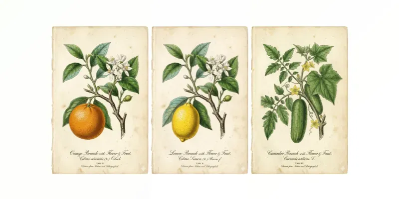 19th Century Botanical Lithography generated by undefined