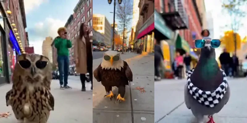 Funny Animals Walking On Street generated by undefined