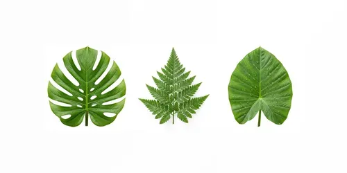 Realistic Leaves Any Trees generated by gemini-image