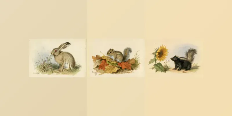 Watercolor Woodland Animals