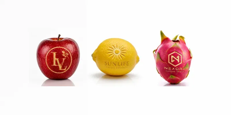 Luxury Fruit Logo Engravings generated by undefined