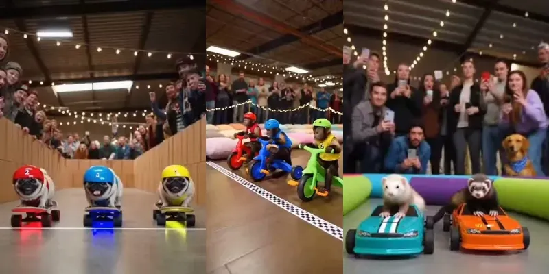 Viral Animal Robot Racing Videos generated by undefined