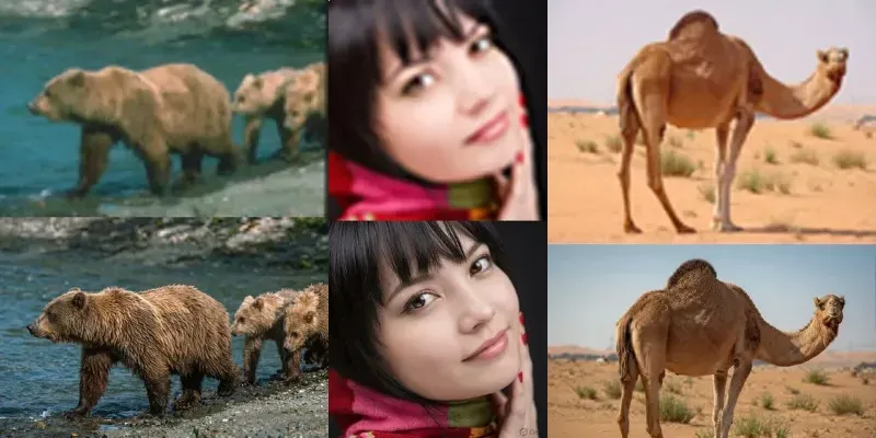Old To New Image To Image Using Grok generated by undefined
