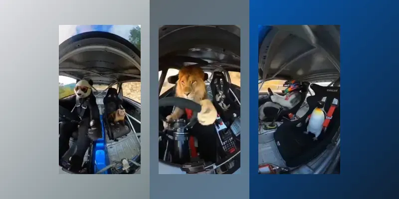 Animals Driving Rally Cars Videos generated by undefined