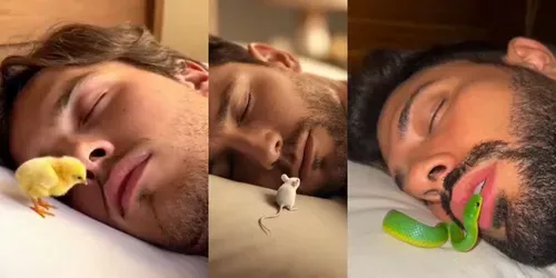 Cursed Dream Logic Videos generated by sora