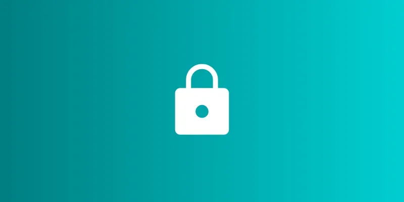 Memory Privacy Safety Checker