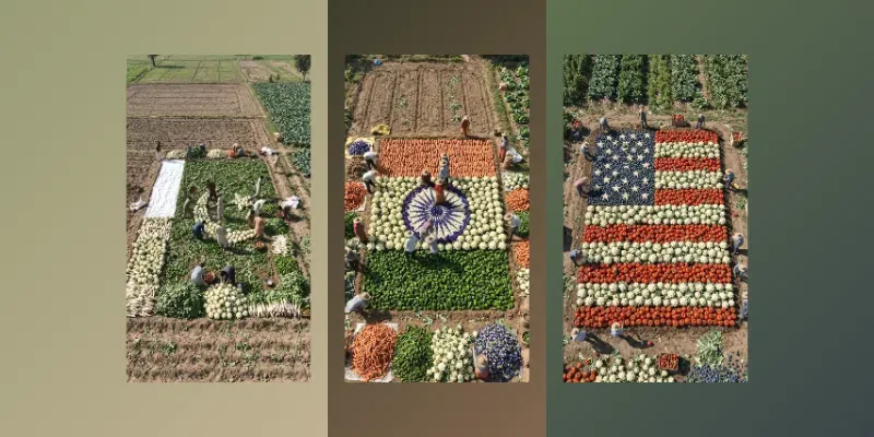 Viral Fruit Veggie Flag Timelapse