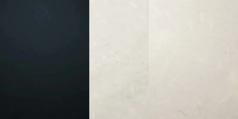 Anime Brand Logo Reveal Packs