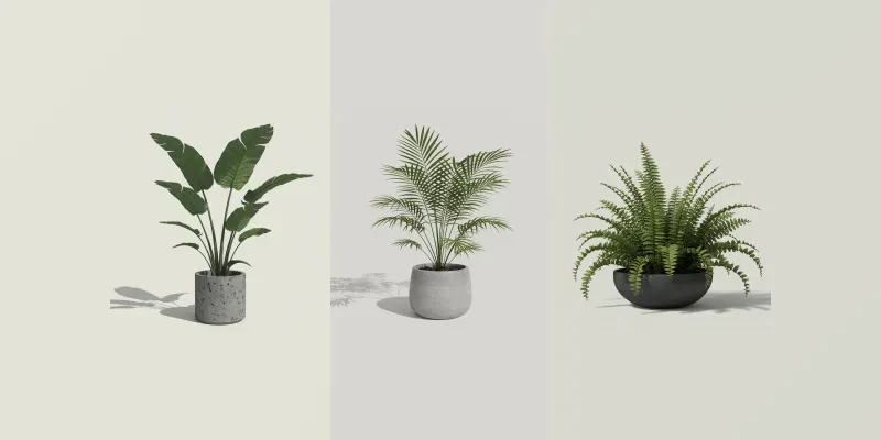 Realistic Indoor Plants generated by undefined