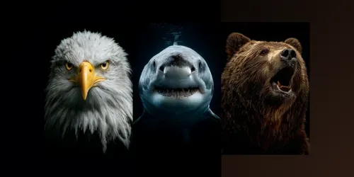 Dramatic Wildlife Portrait Generator generated by midjourney