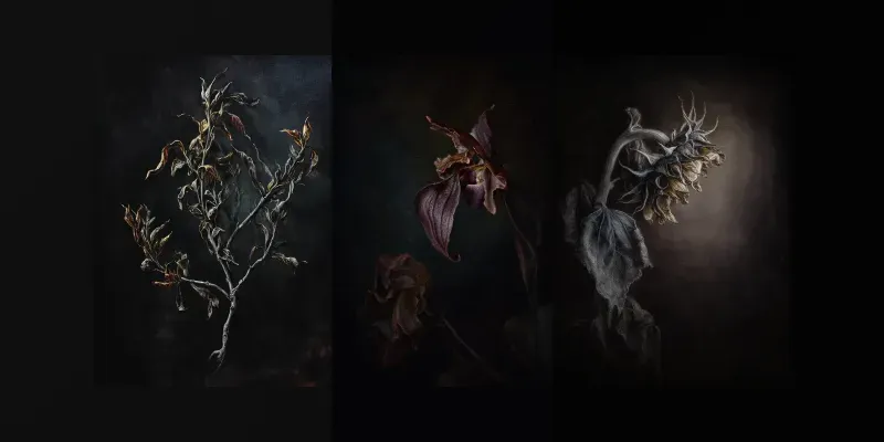 Moody Dark Academia Flower Art generated by undefined