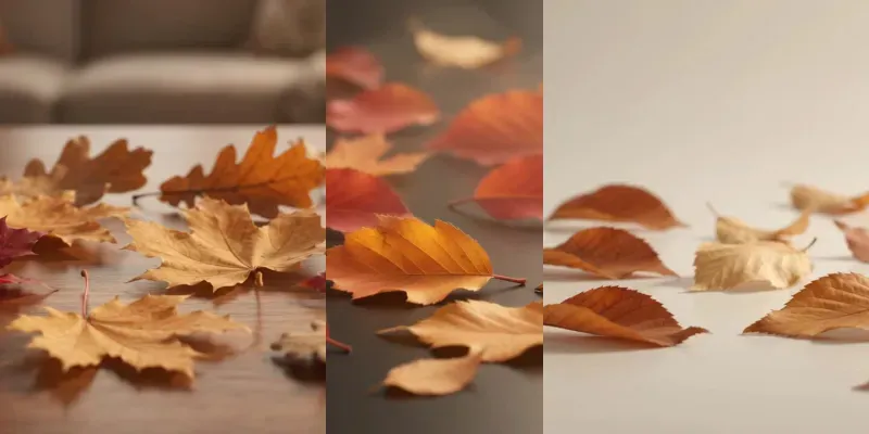 Fallen Leaves Become Colour Parades