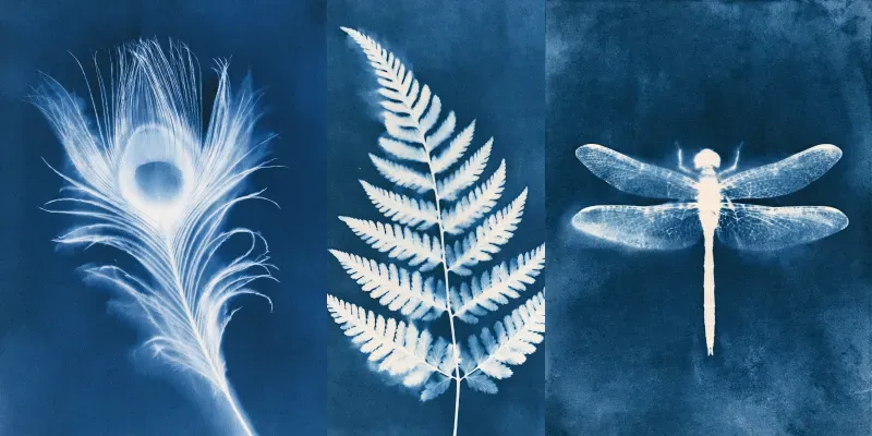 Junk Journal Cyanotype Nature Pages generated by undefined