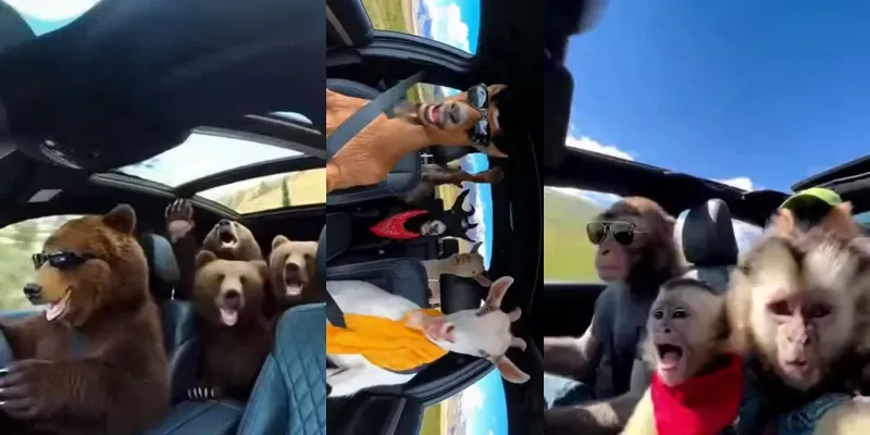 Wild Riders On The Road generated by undefined