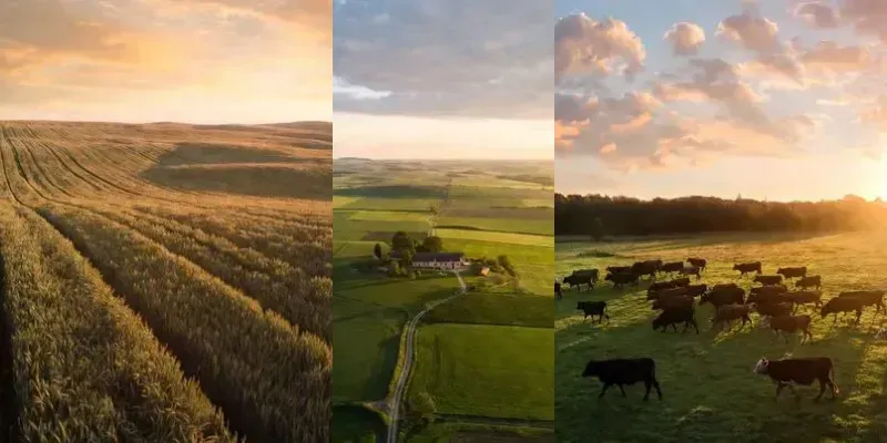 Cinematic Farm Drone Wallpapers generated by undefined