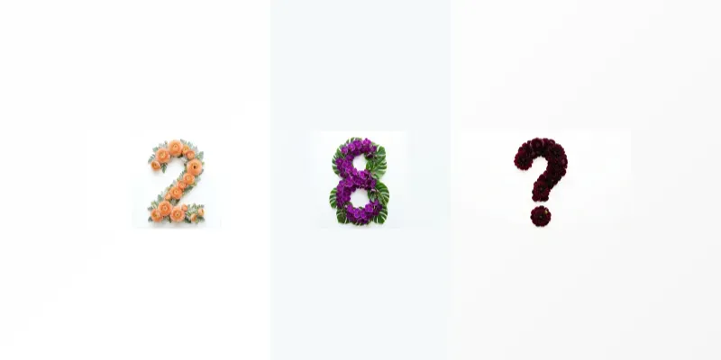 Floral Flat Lay Numbers Symbols generated by undefined