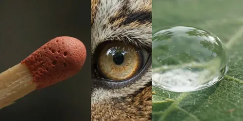 Stunning Closeups generated by veo