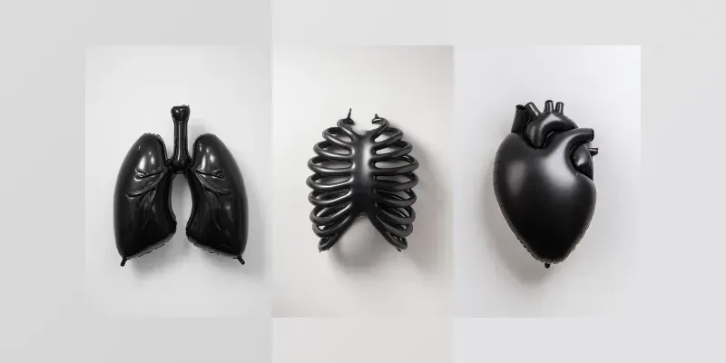 Minimal Anatomical Editorial Still Lifes generated by undefined