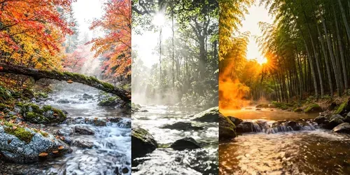 Serene ASMR Nature Streams Videos generated by veo