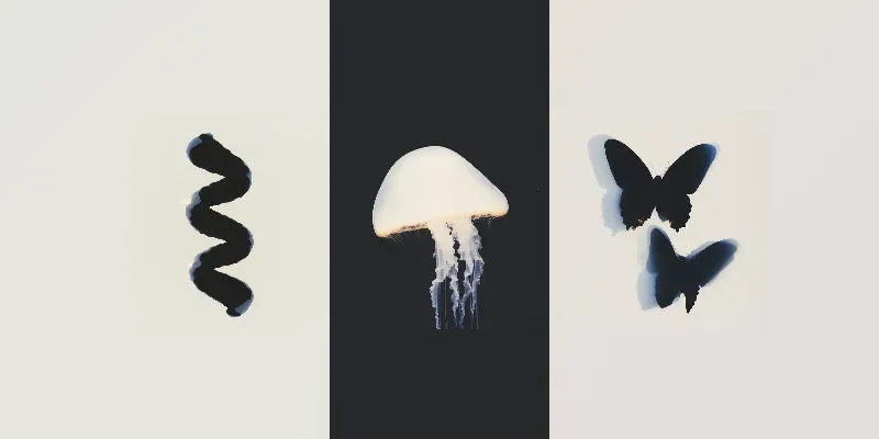 Shadows And Forms generated by undefined