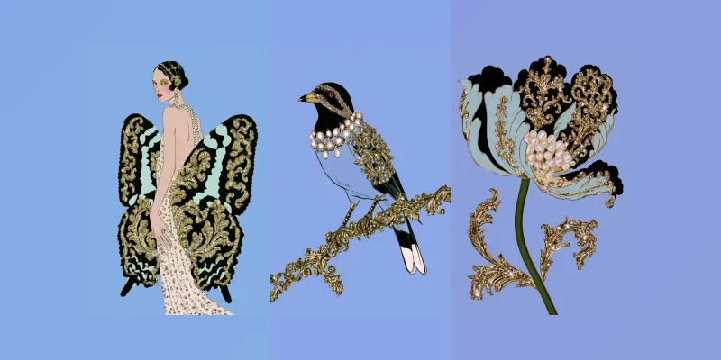 Rococo Fashion Illustrations