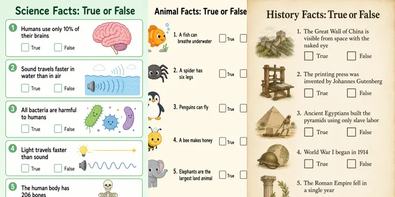 True Or False Statement Worksheets generated by undefined