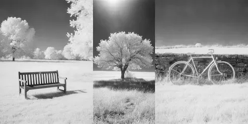 Infrared Films The Unseen Lights generated by gemini-image