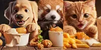 3D Animated Mukbang Feasts veo prompt mini thumbnail
