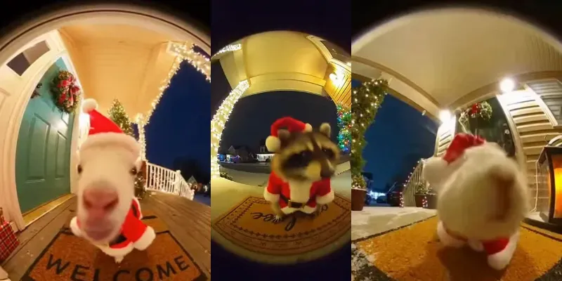Festive Doorbell Animal Videos generated by undefined