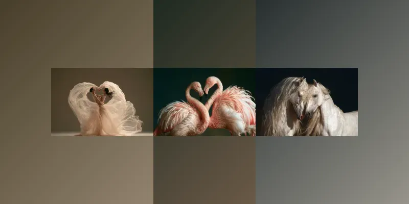 Hearts Without Borders generated by undefined