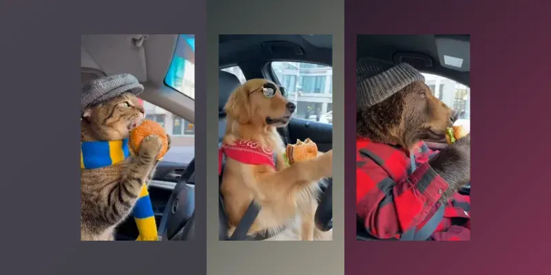 Realistic Driving Animals generated by undefined