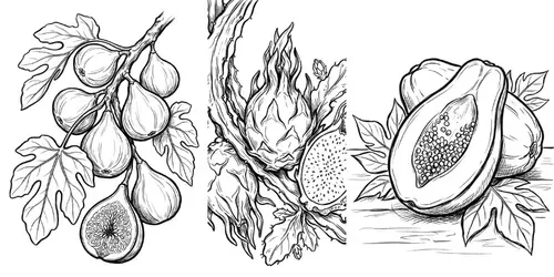 Charcoal Sketch Coloring Book Pages generated by gemini-image