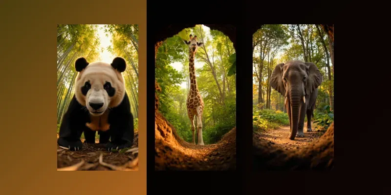 Wildlife Burrow Lens Collections generated by undefined