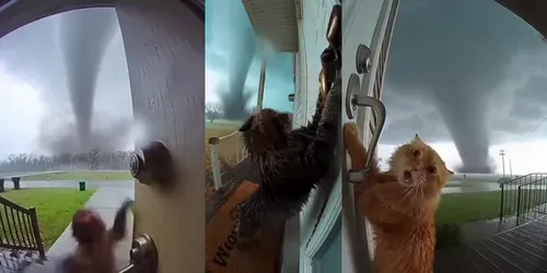 Doorbell Camera Tornadoes generated by sora