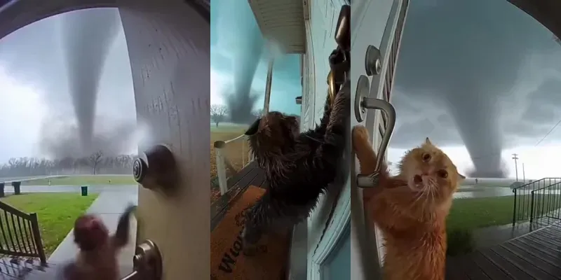 Doorbell Camera Tornadoes generated by undefined