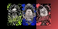Y2k Chrome Glitter Pet Poster Art chatgpt-image prompt mini thumbnail
