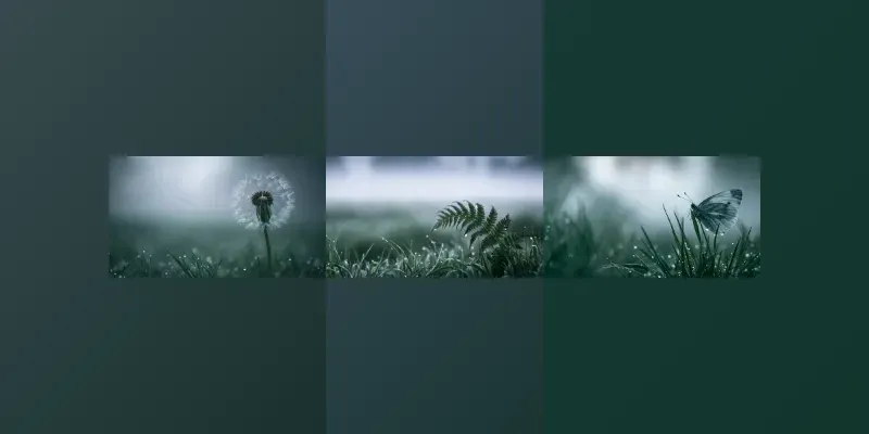 Dewy Macro Nature Photography generated by undefined