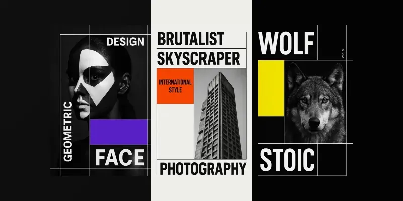 High Contrast Posters generated by undefined