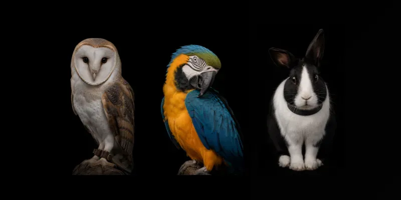 Fine Art Animal Portraits generated by undefined