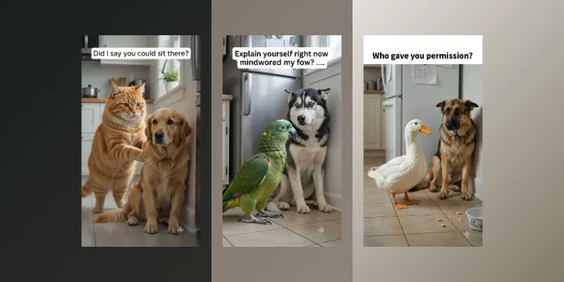 Bossy Animals Funny Meme Videos generated by undefined