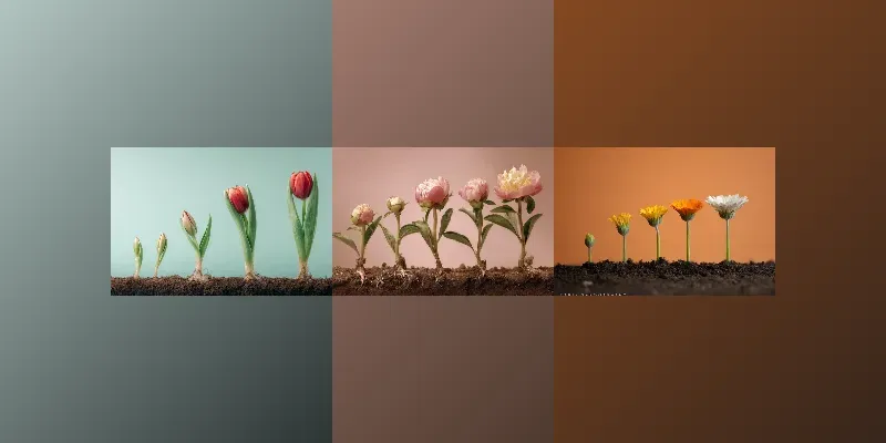 The Buds And The Flowers generated by undefined