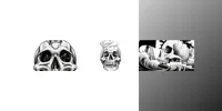 Dark Fantasy Bw Ink Skull Fusion Videos grok-video prompt mini thumbnail